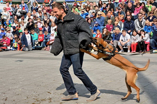 Polizeishow   055.jpg